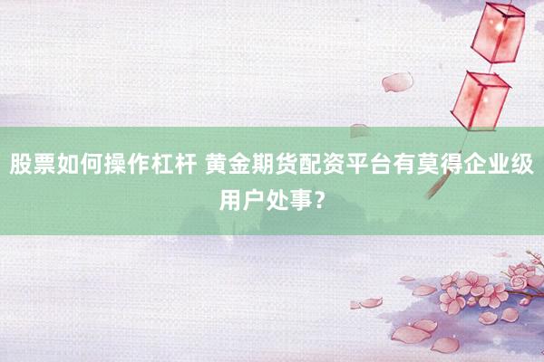 股票如何操作杠杆 黄金期货配资平台有莫得企业级用户处事？